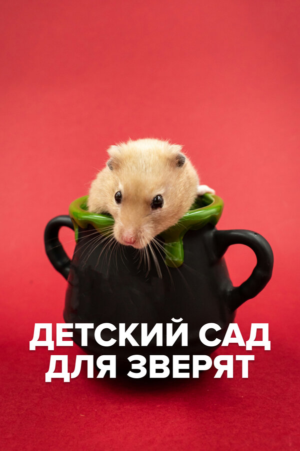 Детский сад для зверят
