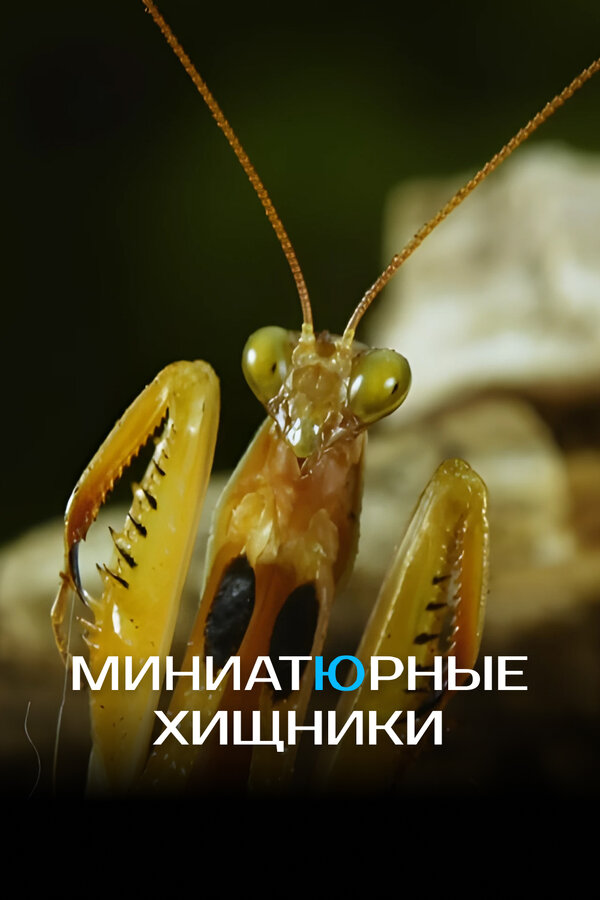 Миниатюрные хищники