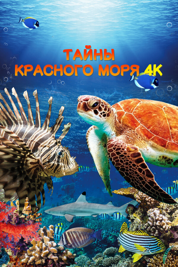 Тайны Красного моря